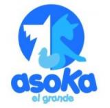 Convocatoria de Asamblea General Ordinaria de la Asociacin Asoka el Grande. 