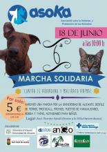 VI Marcha Solidaria de Asoka El Grande  (contra el maltrato animal)