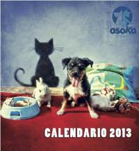 Fiesta Presentación del calendario 2013
