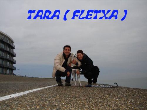 TARA ( FLECHA )