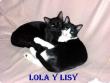 LOLA  Y  LISY