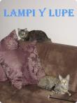 LAMPI Y LUPE