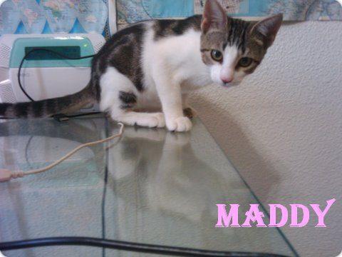 MADDY