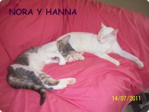 Nora y Hanna