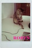 Noticias de Robyn