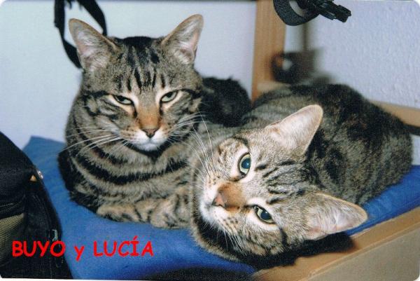 Buyo y Luca