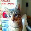 Patricio (ahora Letigre)