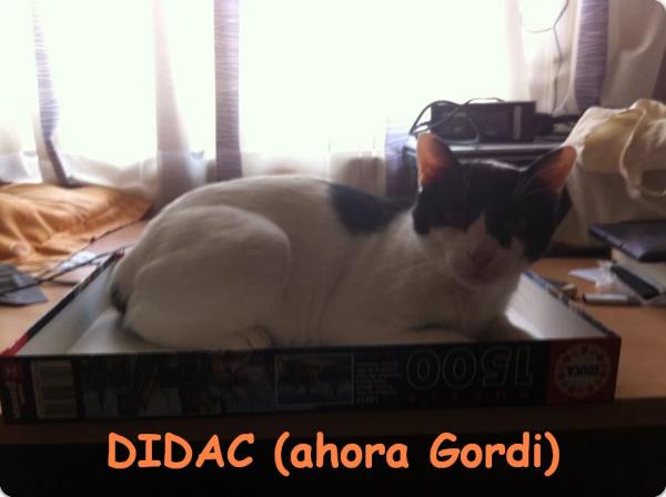 Didac (ahora Gordi)