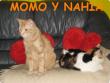 Momo y Nahia