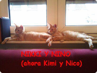 Nikki y Nino (ahora Kimi y Niko)