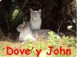 Dove y John