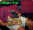 Grey y Grand