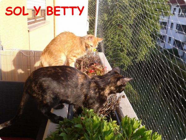 Sol y Betty