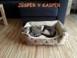 Kasper y Jesper