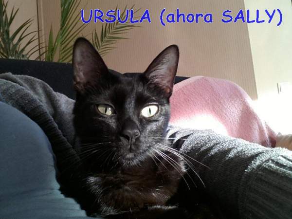 rsula (ahora Sally)