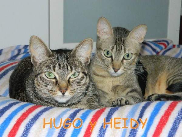 Hugo y Heidy