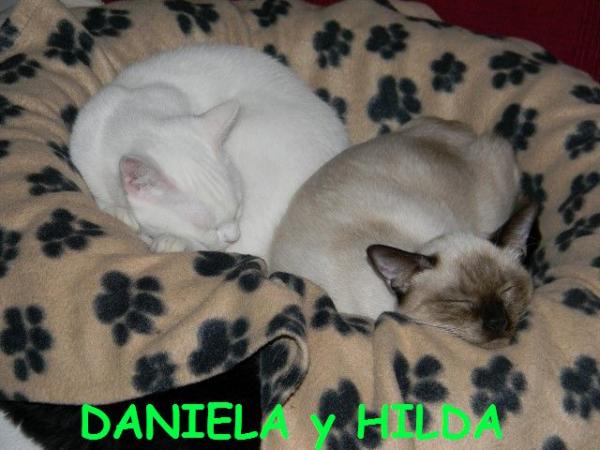 Hilda y Daniela